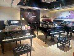 -柏斯音乐艺术中心·钢琴·吉他(上音店)