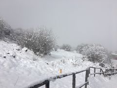 -太子岭滑雪场