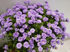 -隐食餐厅(金水湾公馆店)