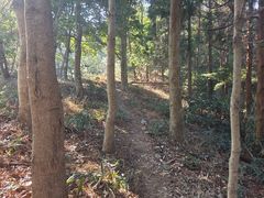 -北仑森林植物园