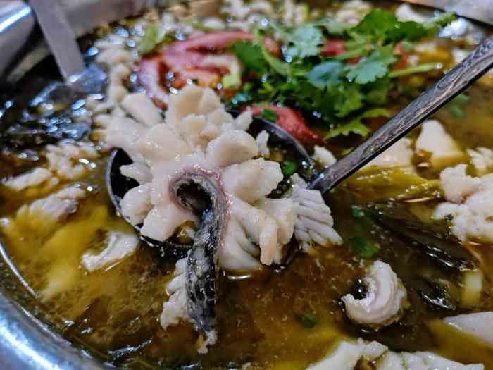 龙江乌鱼庄-"到双流去看小伙伴,说带我去吃一家乌鱼花.