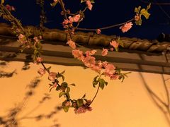 -济南大明湖景区