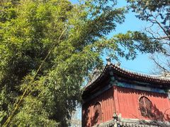 -鹫峰国家森林公园