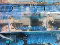 -东海章鱼馆(恒瑞街店)