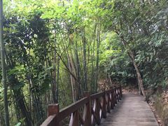-广州市流溪河国家森林公园