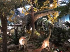 -湖南省地质博物馆