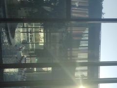 -上海崇明金茂凯悦酒店