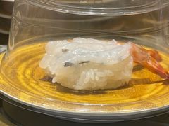舟山野生车虾-合点寿司(美罗城店)