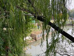 -上海佘山世茂艾美酒店