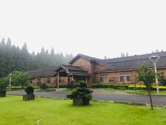 -金岛生态园烧烤露营地
