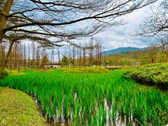 -佛冈森波拉度假区