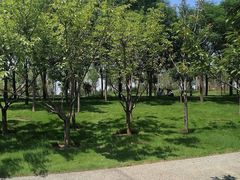 -象湖生态湿地公园