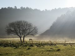 -秦岭风景区