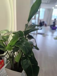 -爱尔乐美孕产瑜伽·普拉提