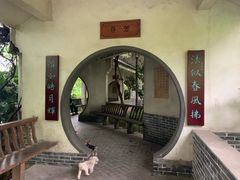 -重庆彩云湖湿地公园