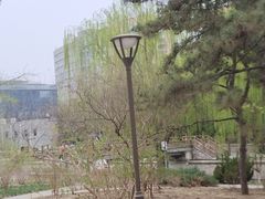 -元大都城垣遗址公园