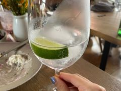 lemon gin-BOR Eatery(安福路店)