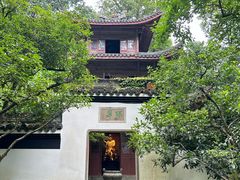 -虎跑公园