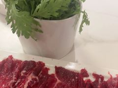 -八合里潮汕鲜牛肉火锅(万科里店)