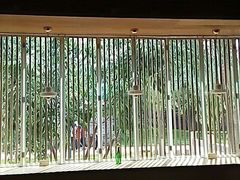 -春风习习