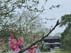 -南山风景名胜区
