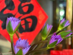 -佛有缘素食馆·荔湾老字号(陈家祠首店)