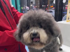 -博特宠物医院24h犬猫全科.骨科·异宠