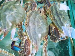 -胖子饺子馆·海鲜家常菜(海军博物馆店)