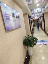 -碧莲盛·不剃发植发