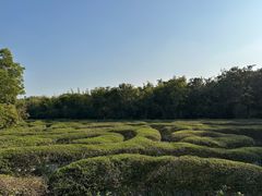 -大屏嶂森林公园