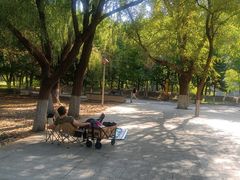 -长白岛森林公园