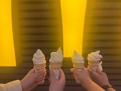 -麦当劳(深圳北站高铁店)