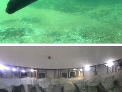 -珠海长隆海洋王国