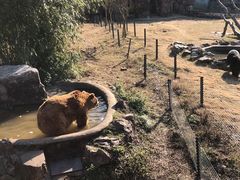 -无锡动物园·太湖欢乐园