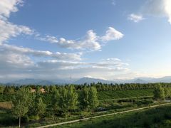 -洨河生态公园