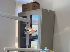 -圣贝口腔(海淀店)