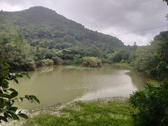 -东海大峡谷