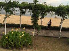 -碧海金沙