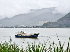 -北岐滩涂