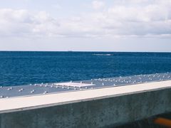 -滨千鸟之汤 海舟