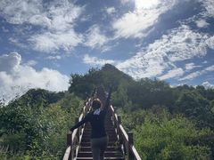 -大岭沟猕猴桃谷风景区