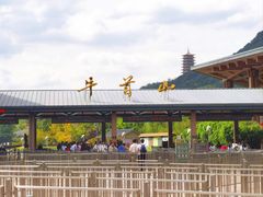 -牛首山文化旅游区