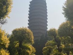 -西海子公园