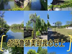 -鲁镇