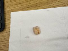 -瑞尔齿科(颐堤港诊所)