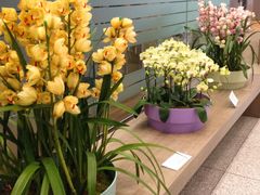 -乐天免税店(仁川国际机场店)