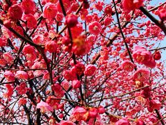 -食膳公园包子铺(烈士公园店)