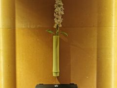 -初蓉丨遇见新川菜(亲贤街荣耀店)