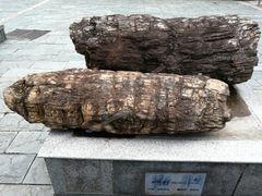 -中国地质大学逸夫博物馆