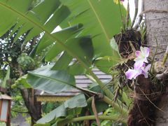 -火咂咂竹筒宴(告庄店)